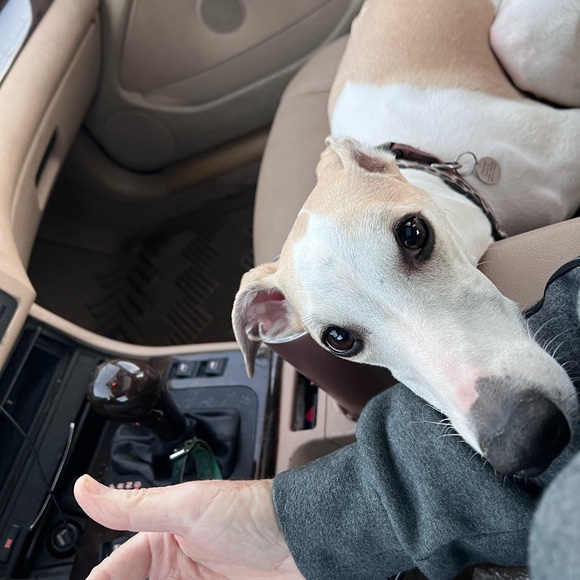 Meet your Posher, Mike - Picture 2 of 6